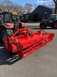 Maschio